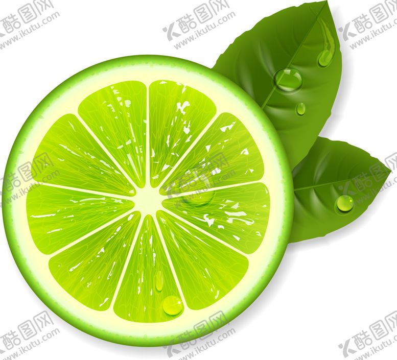 编号：15583301210037316415【酷图网】源文件下载-橙子PNG免抠素材