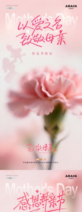 医美母亲节剪影康乃馨海报