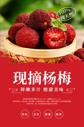 杨梅