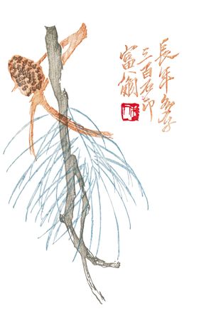 中国画