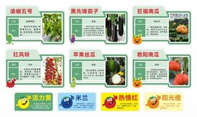 蔬菜种类标识牌