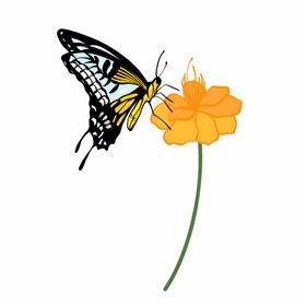 蝴蝶与花朵插画