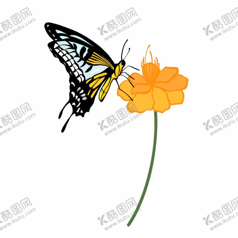 编号：72838105090635588292【酷图网】源文件下载-蝴蝶与花朵插画