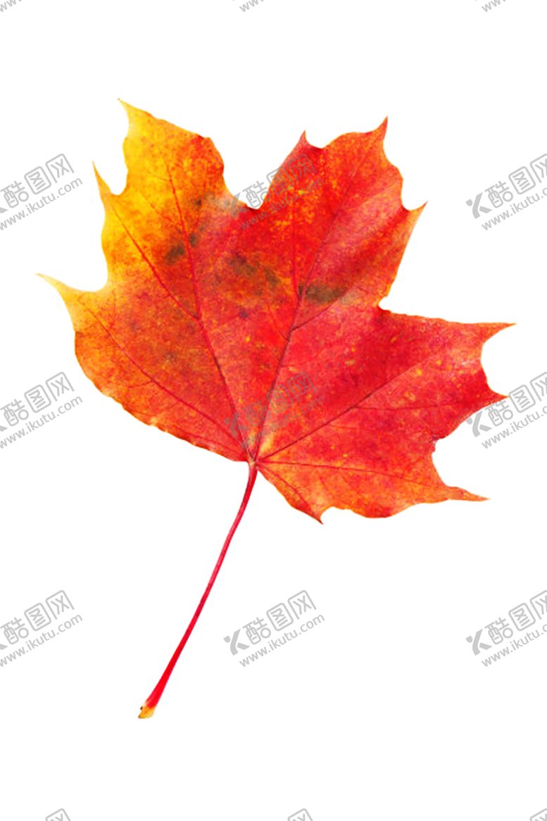 编号：52871609250929286514【酷图网】源文件下载-火焰素材