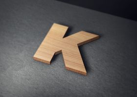 绝对实木3D立体LOGO样机