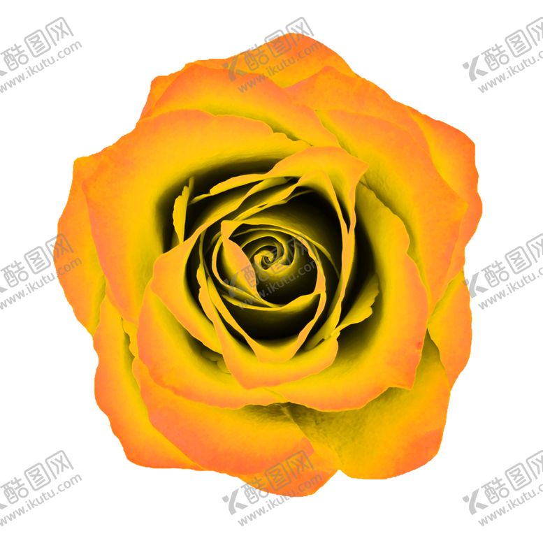 编号：60545511011328082185【酷图网】源文件下载-花素材