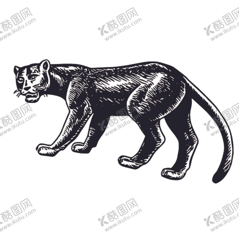 编号：26881510051307597346【酷图网】源文件下载-豹子插画图案
