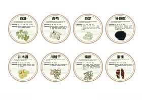 中药材装饰圆形灯箱3