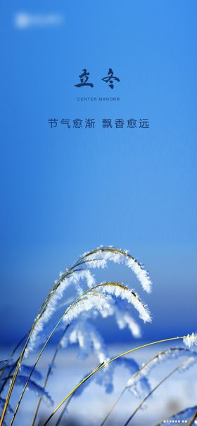 立冬雪二十四节气蓝色