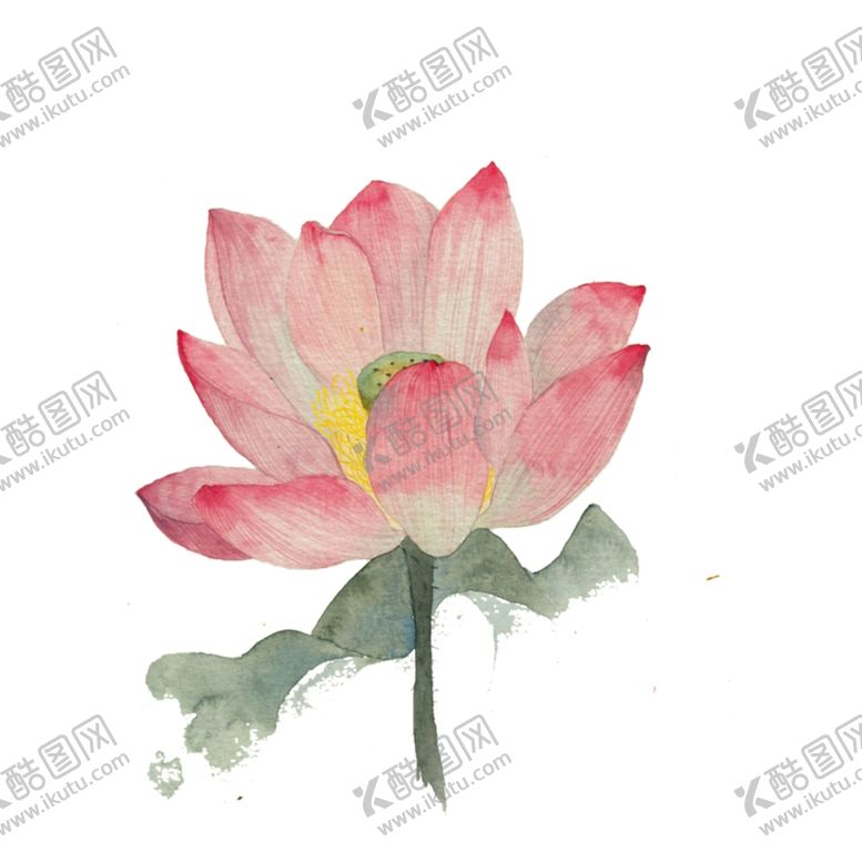 编号：28933001260235195001【酷图网】源文件下载-荷花素材