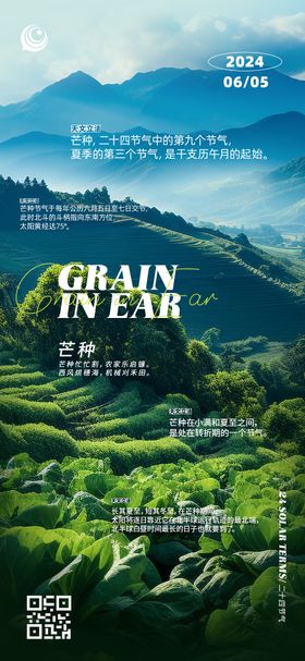 芒种节气海报摄影二十四风景