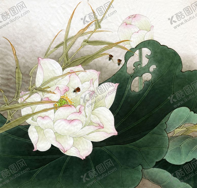 编号：59810705120632122680【酷图网】源文件下载-中式古典花鸟工笔画