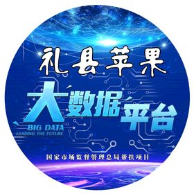 大数据监测分析平台