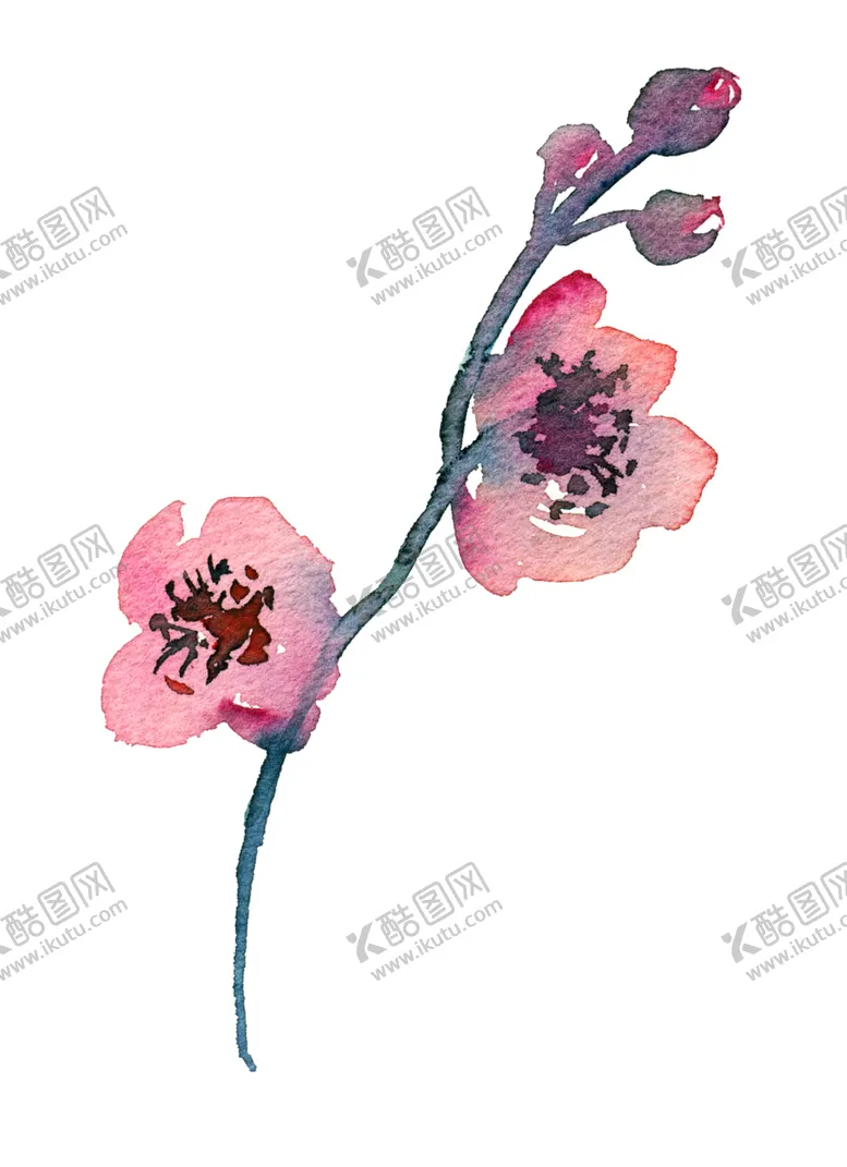 编号：93898801281452206283【酷图网】源文件下载-水彩花