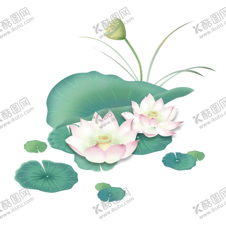 编号：90380402210213278406【酷图网】源文件下载-荷花