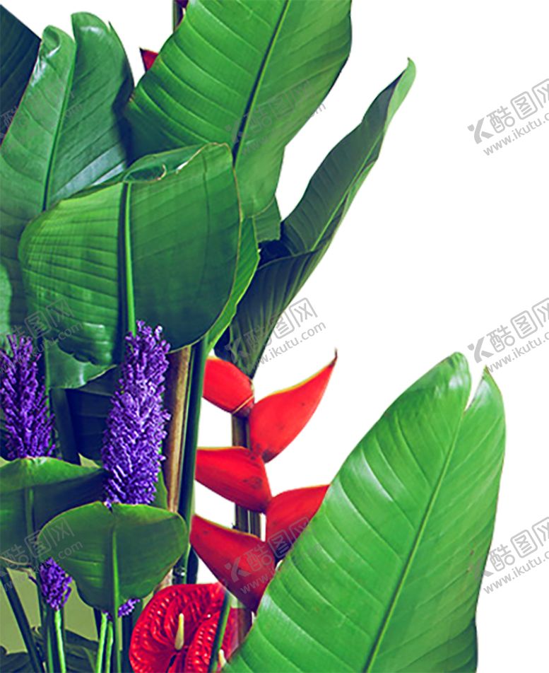 编号：58712609140425396054【酷图网】源文件下载-绿色背景