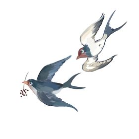 燕子插画