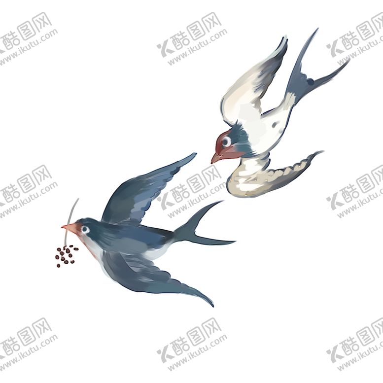 编号：37649810070201365777【酷图网】源文件下载-燕子插画