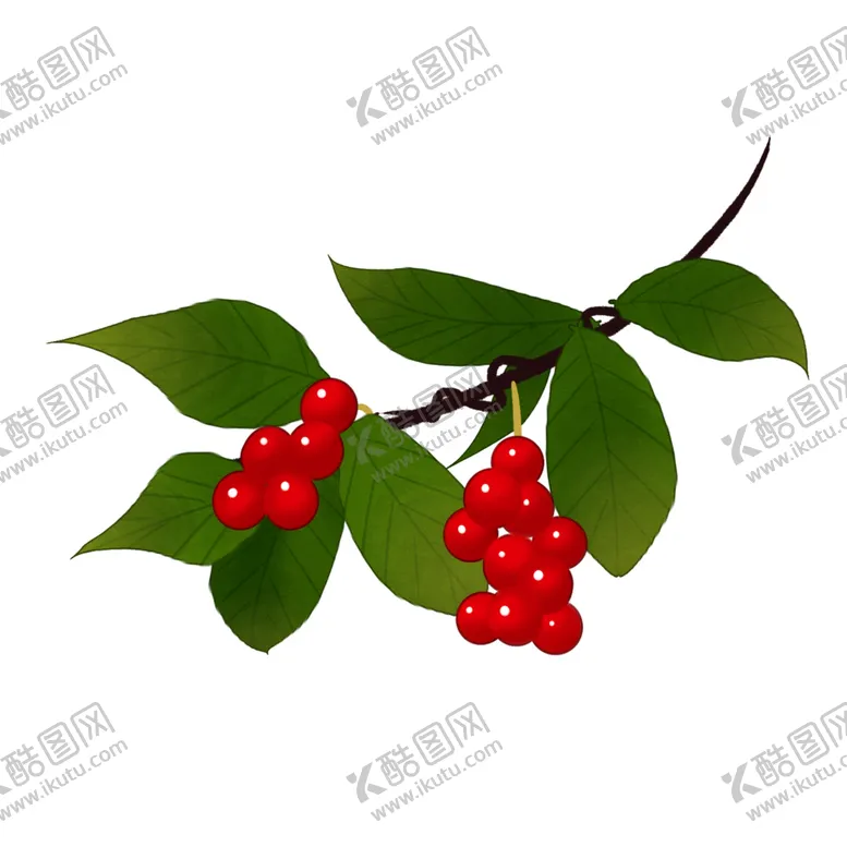编号：71637203271226352011【酷图网】源文件下载-草本植物药材
