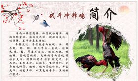 斗鸡简介