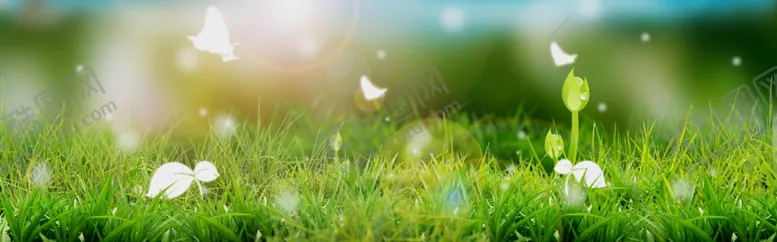 编号：51560210051004224615【酷图网】源文件下载-海报背景