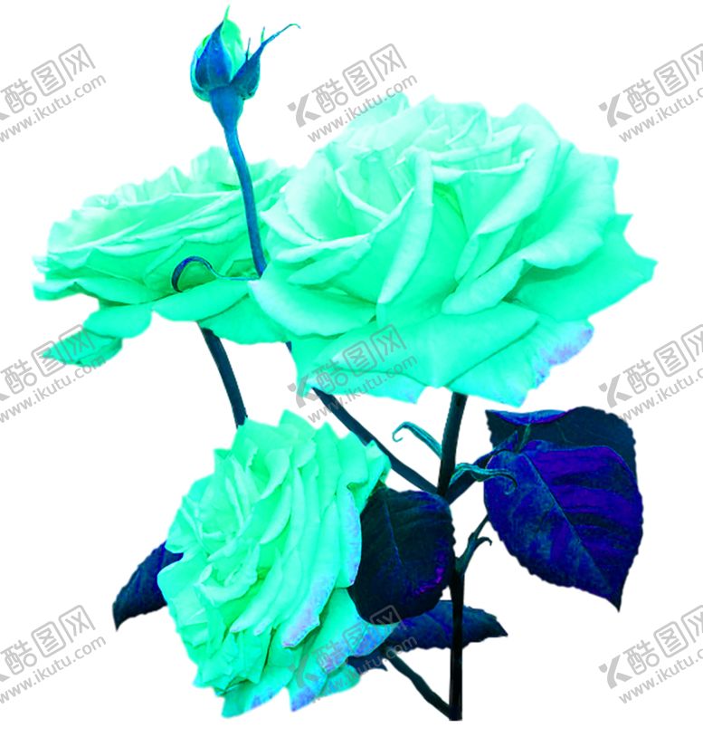 编号：83399306291324029284【酷图网】源文件下载-花素材