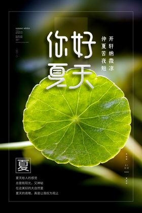 夏天海报