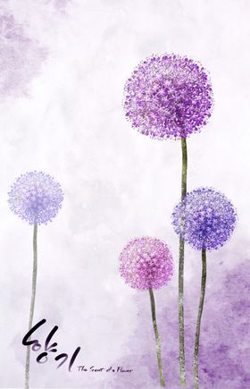 蒲公英花朵素材