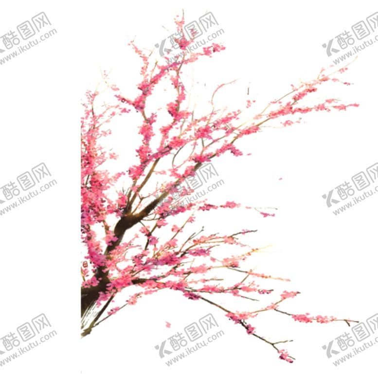 编号：33354804281614394055【酷图网】源文件下载-桃花