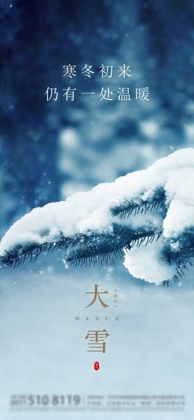 地产大雪