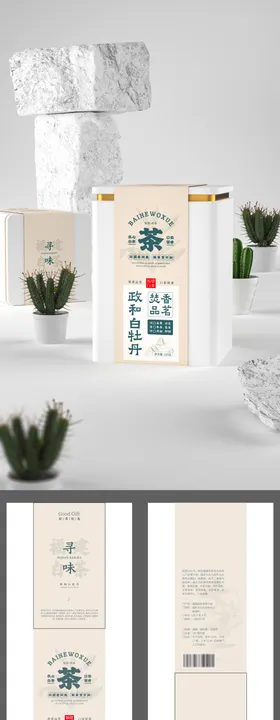 包装封套设计几何蓝色背景