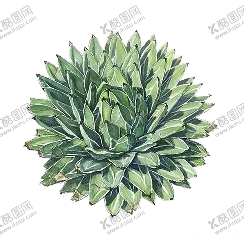 编号：97963409261108585798【酷图网】源文件下载-绿色相框