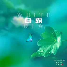 白露霜中式水雾霜降
