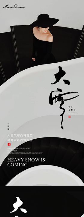 医美私密美业大雪节气海报