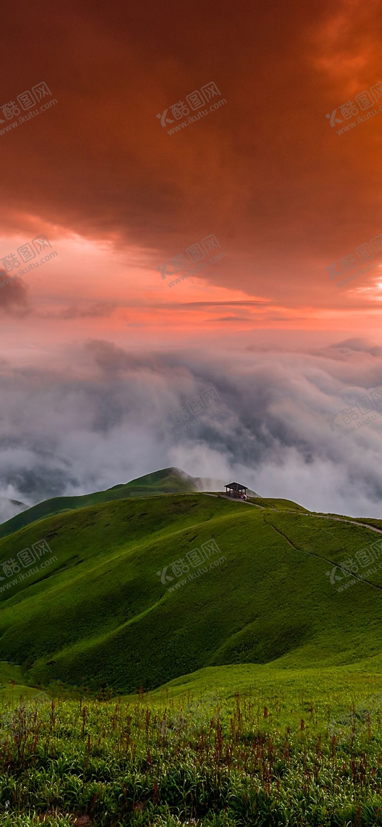 编号：24599609291653505622【酷图网】源文件下载-手机壁纸