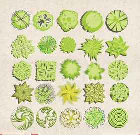 矢量动物矢量植物插画手绘