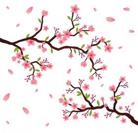 樱花