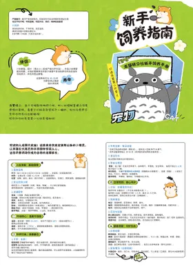 宠物龙猫饲养手册指南