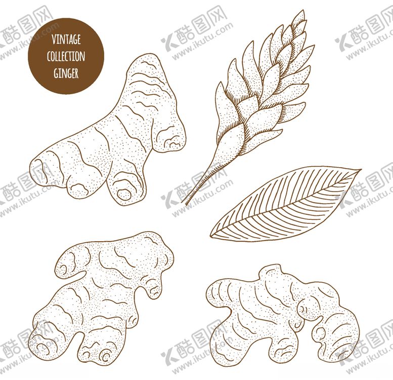 编号：33827410061928164777【酷图网】源文件下载-植物线稿