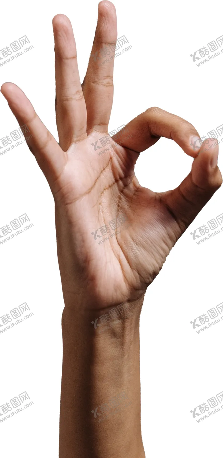 编号：27222402210252495359【酷图网】源文件下载-手部特写图