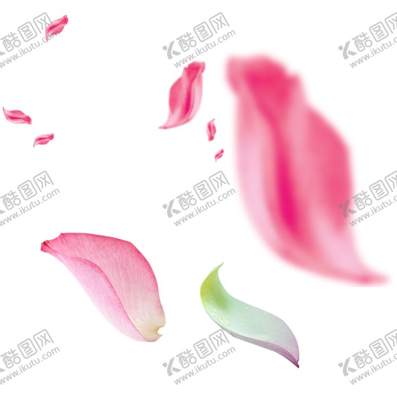 编号：99485005111230021700【酷图网】源文件下载-手绘植物花卉