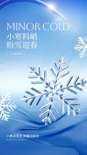 二十四节气小寒雪花