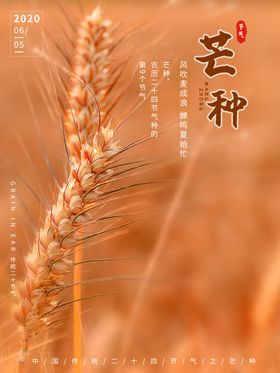 插画素材