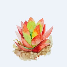 png格式植物花卉手绘素材型插图盆栽