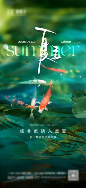 夏至锦鲤节气海报