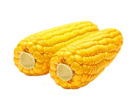 玉米