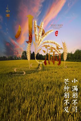 小满朋友圈图片海报微信单图大气