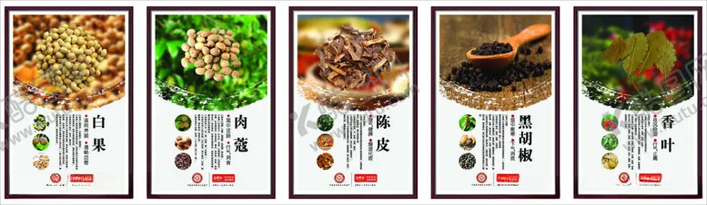 编号：57711904050042322201【酷图网】源文件下载-白果陈皮黑胡椒肉蔻香叶