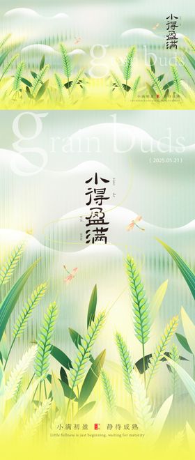 小满海报设计