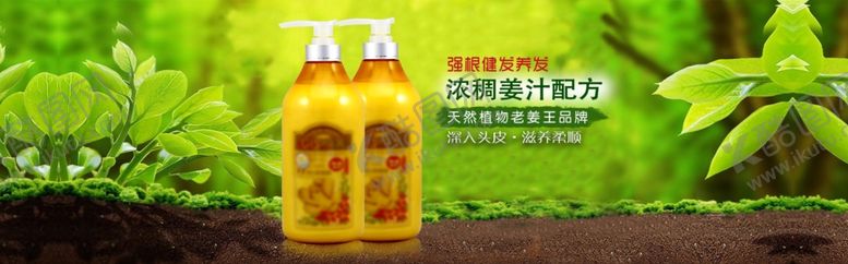 编号：86522105152104122803【酷图网】源文件下载-美发